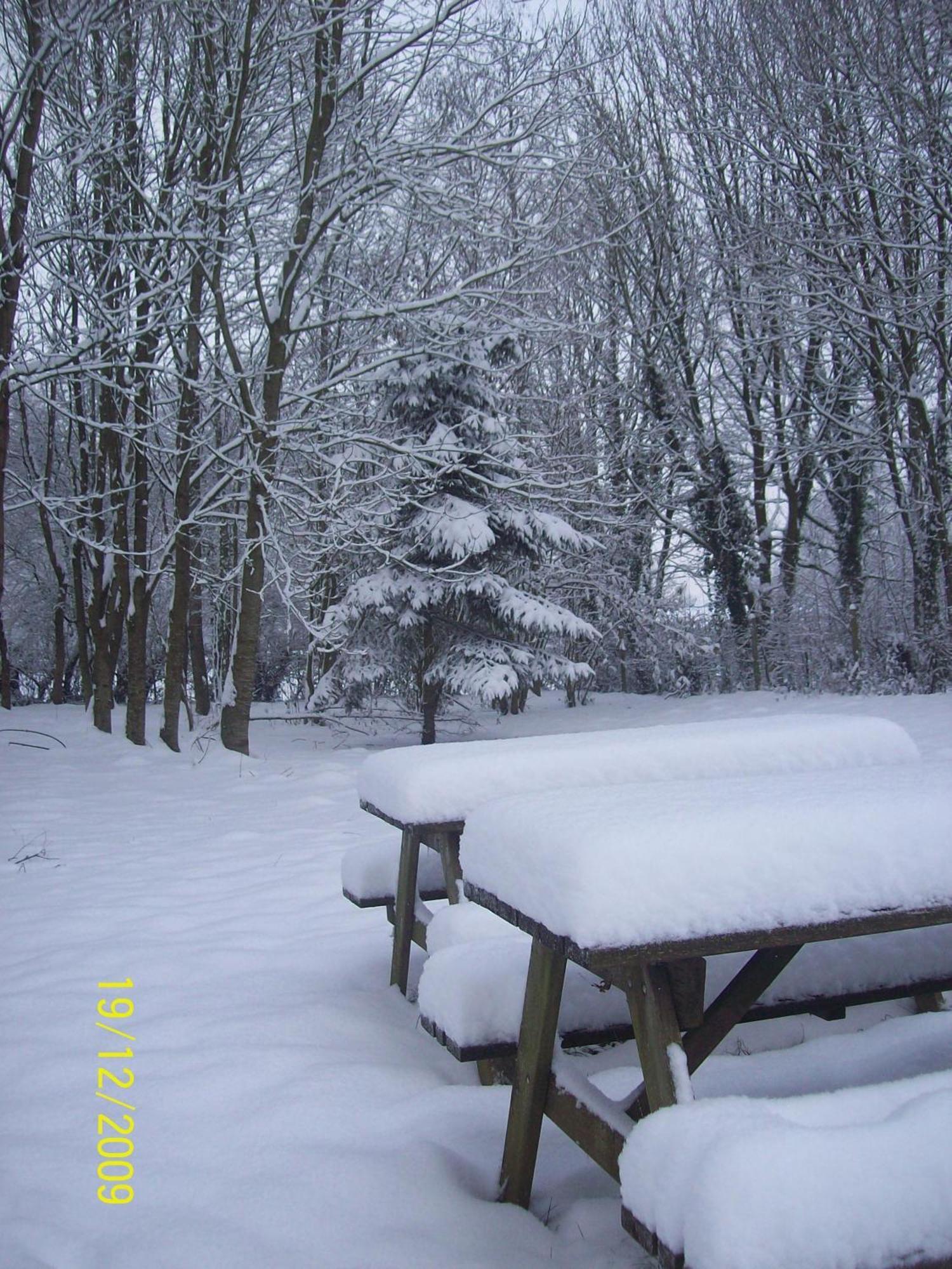 Chambres Et Table D'Hotes Les Trois Marquets Bourthes Exterior foto